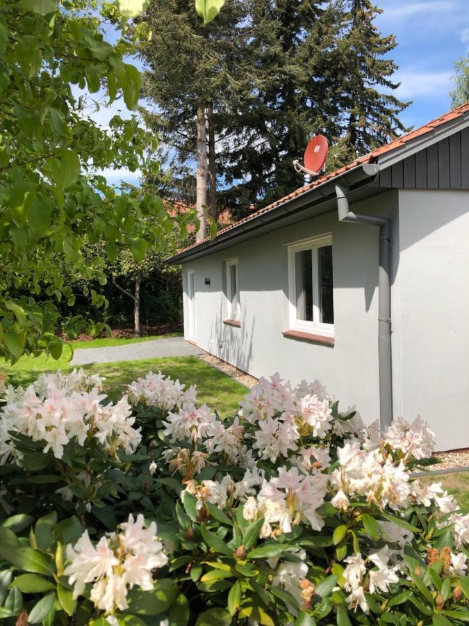 Kleine Auszeit In Salzhausen Villa Ngoại thất bức ảnh